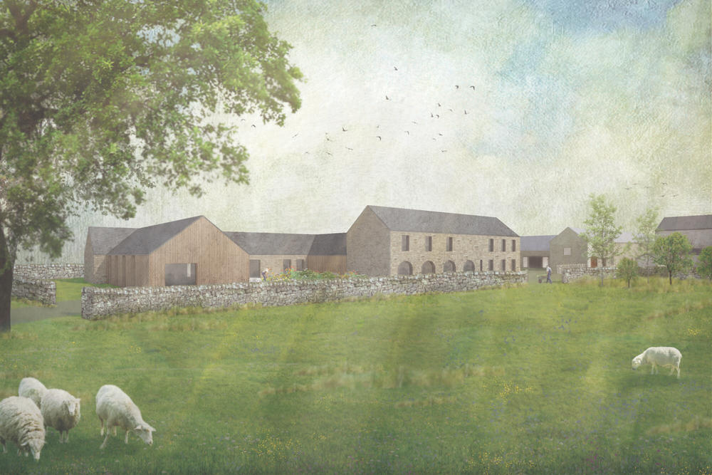 Visualisation of a farmstead conversion and new timber-clad buildings set in pasture with grazing sheep